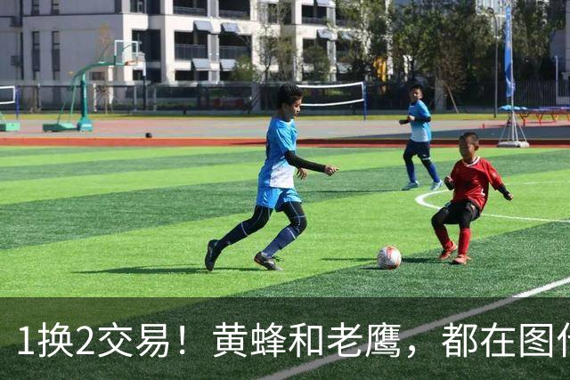 1换2交易！黄蜂和老鹰，都在图什么？